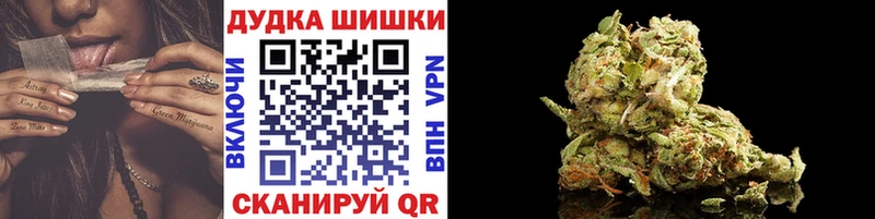 Каннабис план  Чадан 